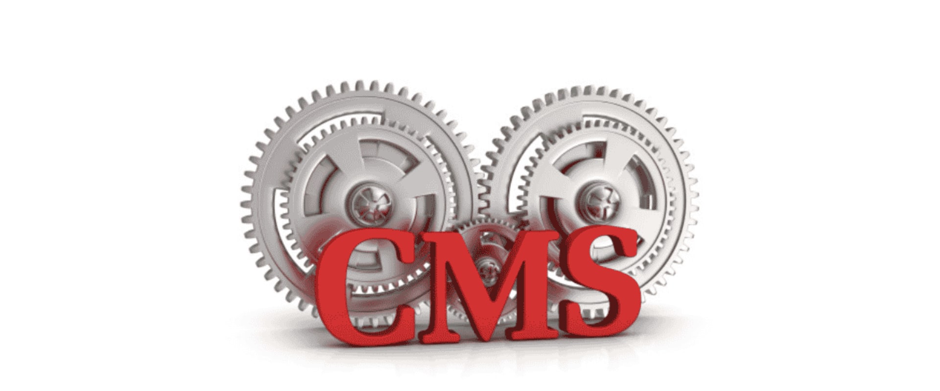 Content Management Systems (CMS): What You Need to Know
